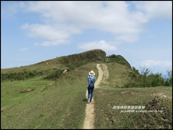 新北。桃源谷步道內寮線浪漫大草原