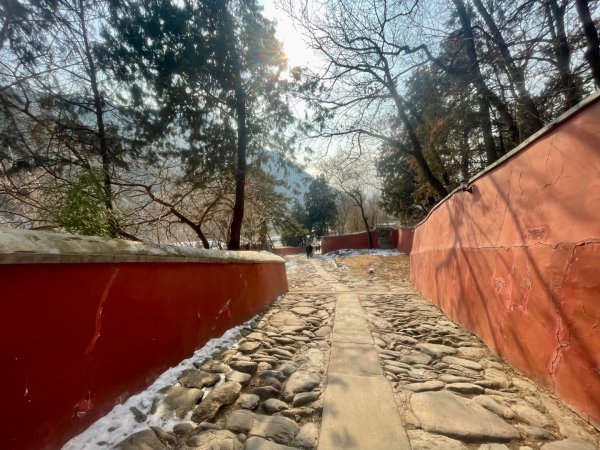 ㄧ路向北尋雪2994218