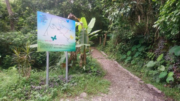 桐林花廊步道596138