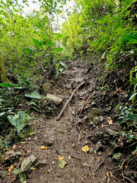 女仍山-小百岳#79-屏東縣獅子鄉2732105