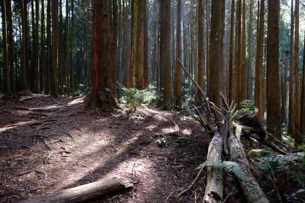 新竹尖石鄉 高島縦走1280677