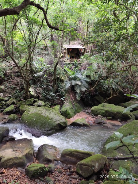 大湖公園→大溝溪生態治水園區→圓覺寺步道→圓覺瀑布→圓覺寺→鯉魚山步道【臺北大縱走 4、臺北健走趣】2849093