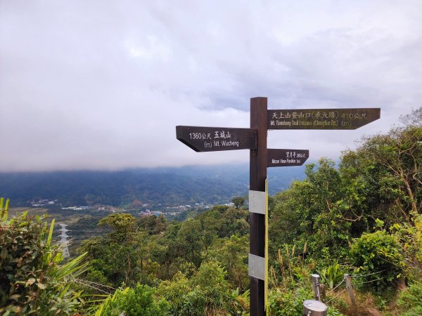 小百岳集起來-天上山2181133