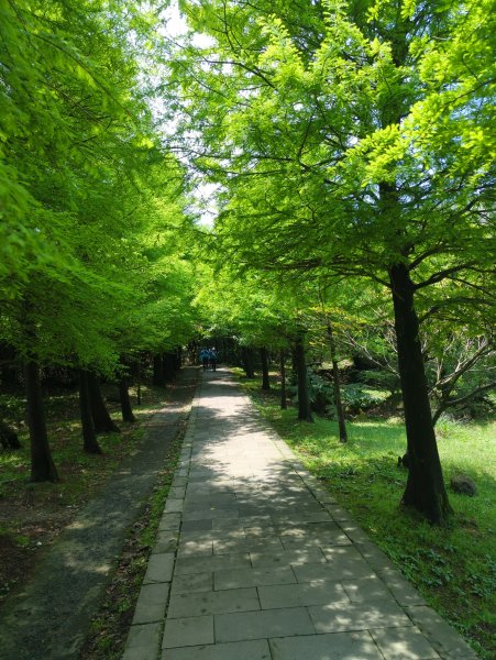 2025.04.27－金包里大路~小油坑縱走2770947