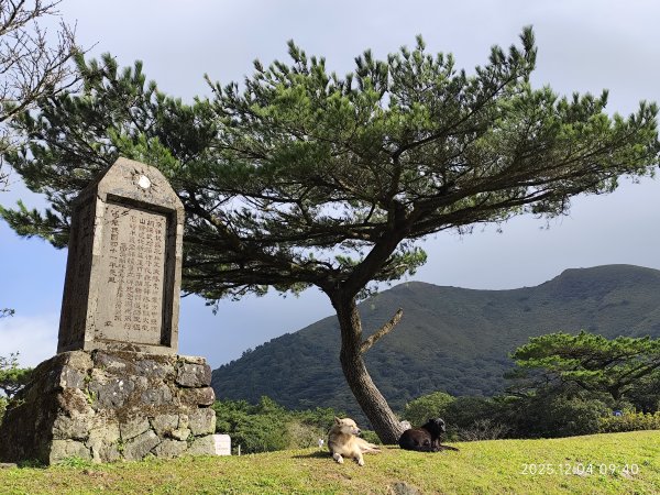 【臺北大縱走 1】二子坪遊客服務站→捷運關渡站2958145