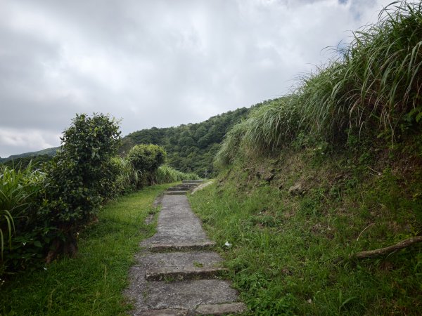 [淡蘭古道] 2026_0531 北路第一段_樹梅坪古道3070661