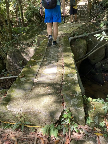 《五指山古道 × 石盤瀑布 × 友蚋山南峰 × 柯子林天然泳池｜尋訪山林古道與靜謐日式庭園》2923010