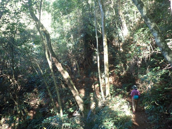 初訪谷關七雄_東卯山1227878