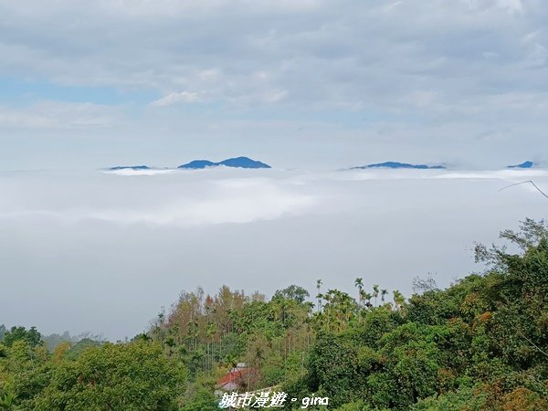 【台南。 楠西】滿滿的雲海太驚豔。 小百岳集起來。 編號67小百岳~竹子尖山步道1605881