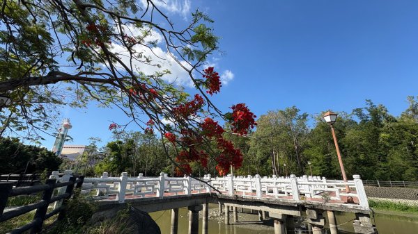 愛河（金獅湖2794008