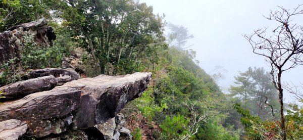 波津加山，太平蝙蝠洞延伸步道，福田賞桐生態步道，美崙山步道，台東鯉魚山2005063