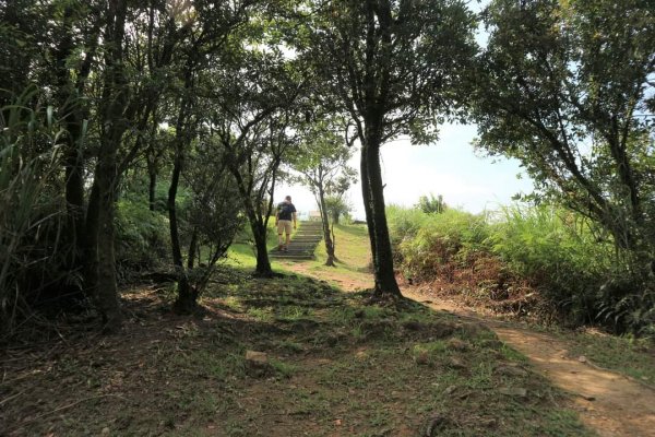 小百岳NO12  汐止大尖山 縱走海拔641公尺 四分子尾山2229067