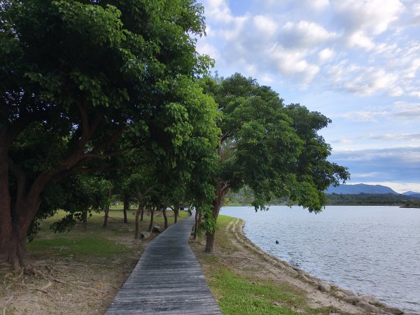 [漫遊縱谷 愛在花東-05/10] 2025_1011 大坡池環潭步道2913298