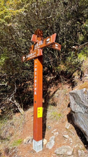 20250122 三角貓🐱遊玉山前峰玩瘋了🌀2698278