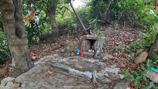 《彰化》古意人文｜員林18觀音O繞大峰巷挑水古道202504122759457