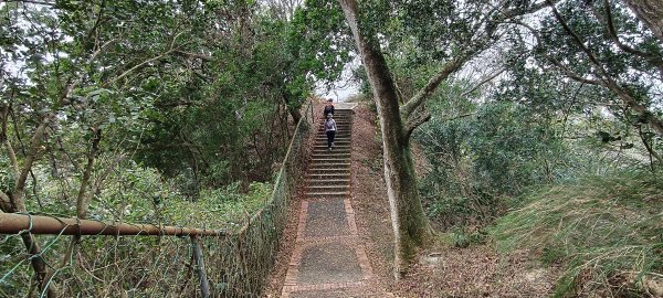 2026/02/01 十二寮古道2992743