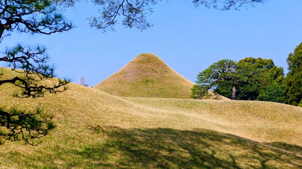 熊本水前寺成趣園,熊本城3028452