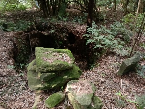 北投區清天宮步道+面天山+向天山+向天池+興福寮步道+頂青礐古道P字走2960015