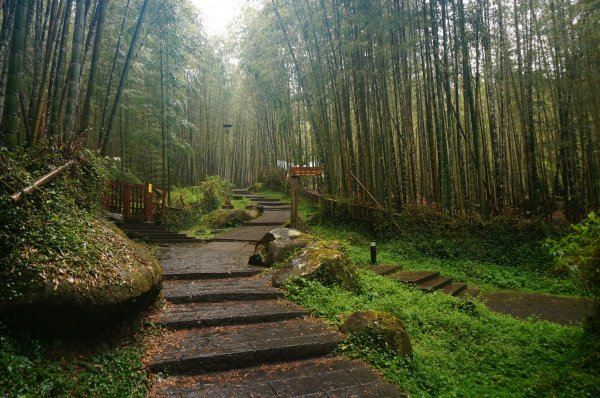 溪頭自然教育園區2016939