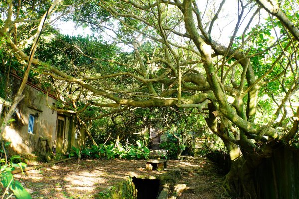 新北 瑞芳 哩咾山、南子吝山3088888