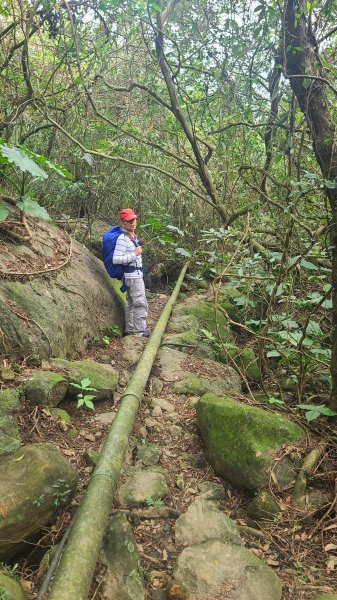 2025-01232淡蘭古道北二段(燦光寮古道到澳底)2696686