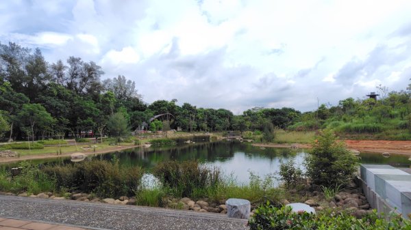 霄裡好風光運動樂悠遊-大湳森林公園2823566