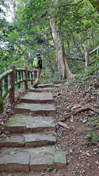 台北大縱走第一段1249148