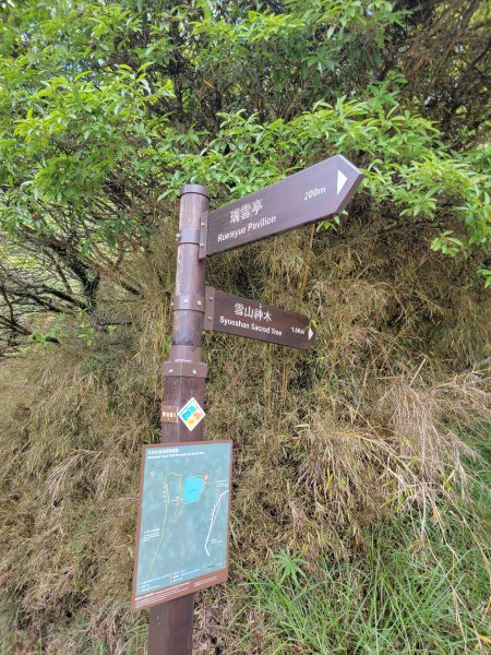2026-0705-大雪山神木啞口健行3082580