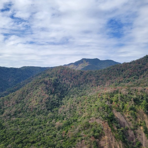 惠蓀林場松風山步道1520480