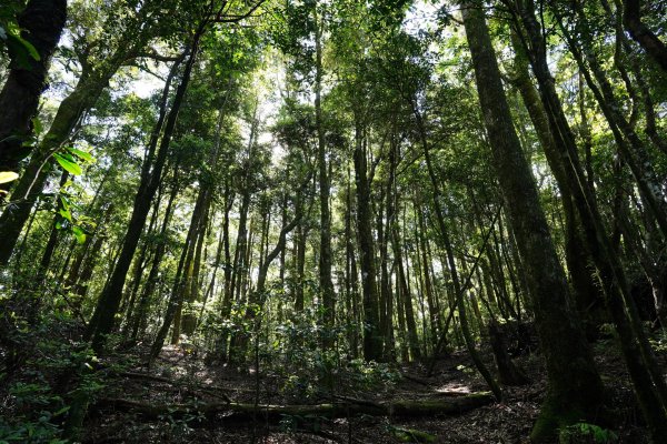 新竹 五峰 油羅山、霞山2798251