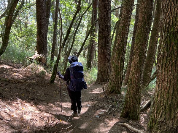 屏風山屋住一晚2916007