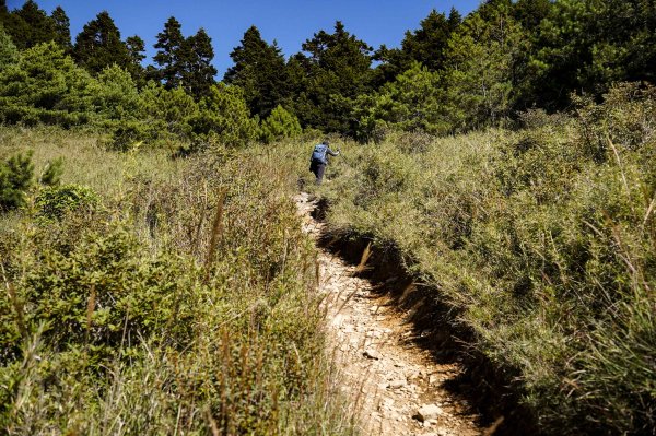 志佳陽大山2906140