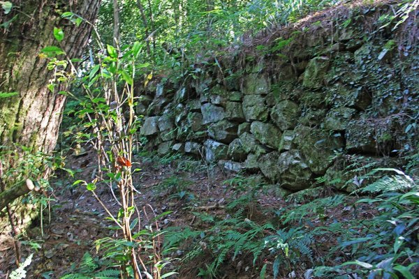 屯野生台山、石麻達山連走497638