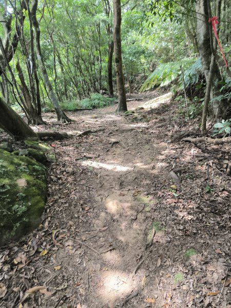 20251010微笑山線：【五分山系】菁桐煤礦段2910200