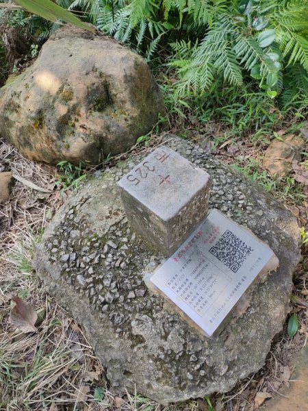 ［象山~深坑8連峰］  （象山～南港山南峰～拇指山～倒照湖山～大坑山～西峰~三腳木山~西峰）2403159