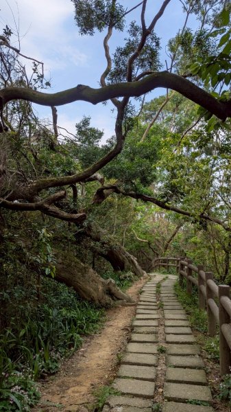 114.04.12一線天-長壽嶺-外南勢角山2760475