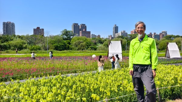 首訪 #古亭河濱公園 #花海 3/153015665