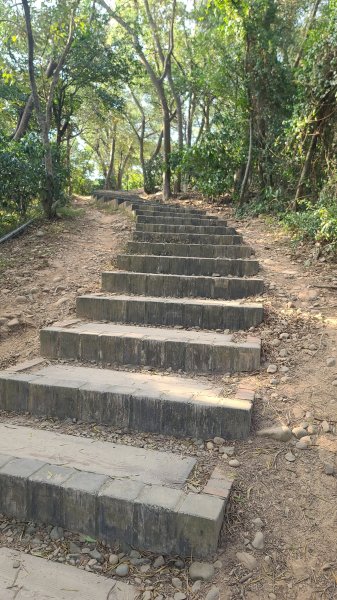 2026-0118新竹新埔文山步道2984646