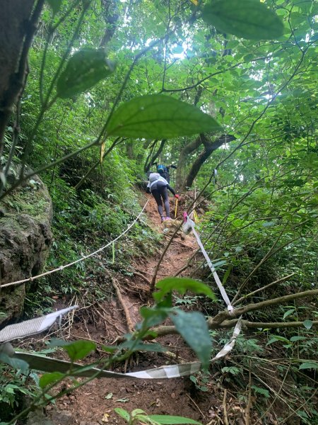 小觀音山大Ｏ1002741