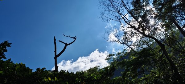 2025/08/30_華山山豬湖步道2876427