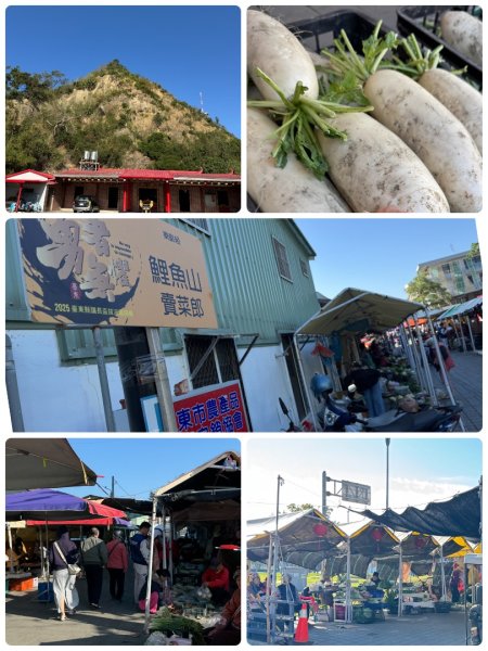 走逛台東 Day 2 鯉魚山步道 走走都蘭山步道1+K3006878