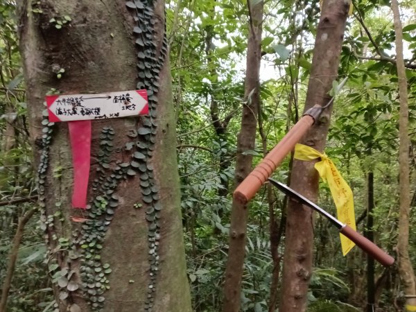 基隆市三層山+湳子大崙+淡基橫斷古道+面桶寮土地公2982271