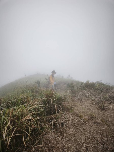 宜蘭-鶯子嶺山 鶯子頂山3055002