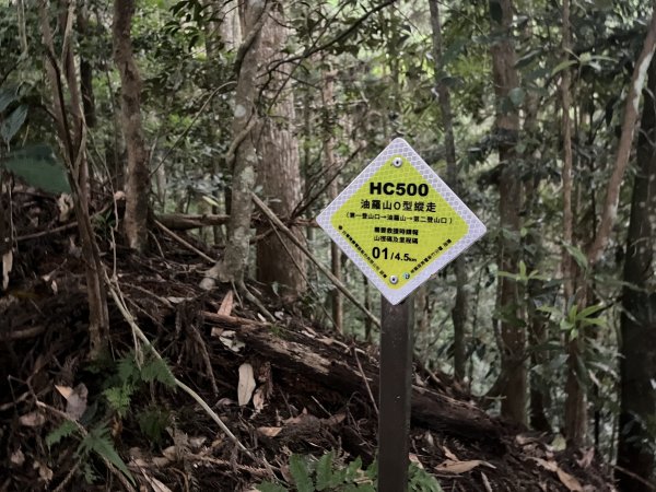 [皮皮獅探險隊-07/10] 2025_0719 油羅山步道2842695