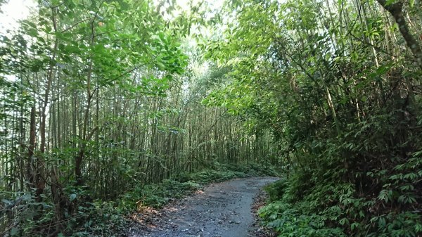 馬拉邦山上湖登山口O型走1069017