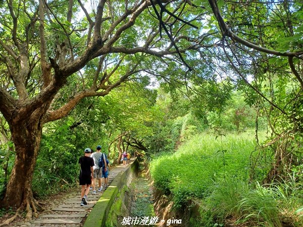 【台中烏日】S型的水圳步道古樸優美。 知高圳步道、雪蓮步道、學田山2874942