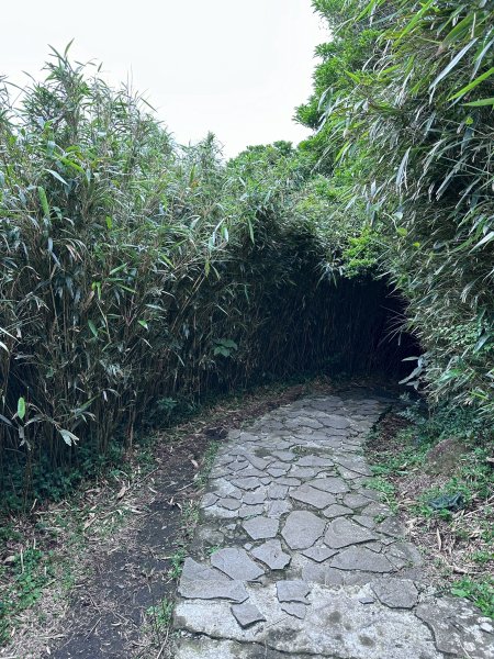 台北大縱走第三段2786899