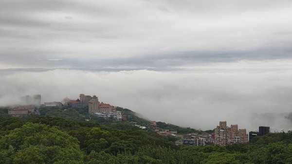 #文化大學 #雲海 #琉璃光 #陽明山秘境 4/253042454