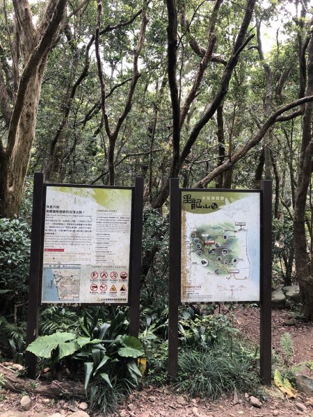 台灣小百岳No.080 里龍山908208