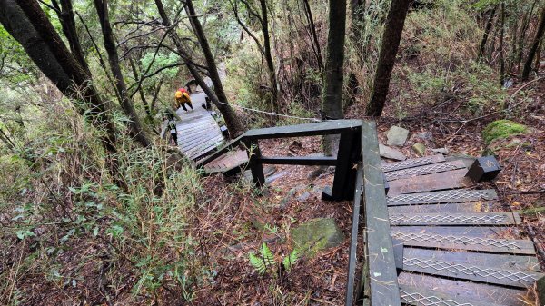 環繞在楓紅巨木和滿山翠綠的鞍馬山及大雪山小神木森林步道的悠哉山行記2996756